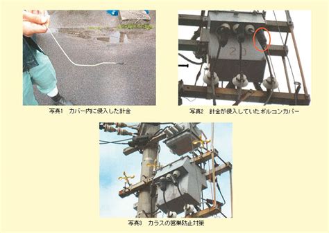 蛇 電線|電気事故に学ぼう46 他物接触 (鳥獣接触)による波及事故｜四国 